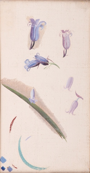 Winifred-Knights: Study-for-Blue-Bells,-circa-1937